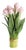 Peony Tulip Bundle Drop-In 19" For Sale