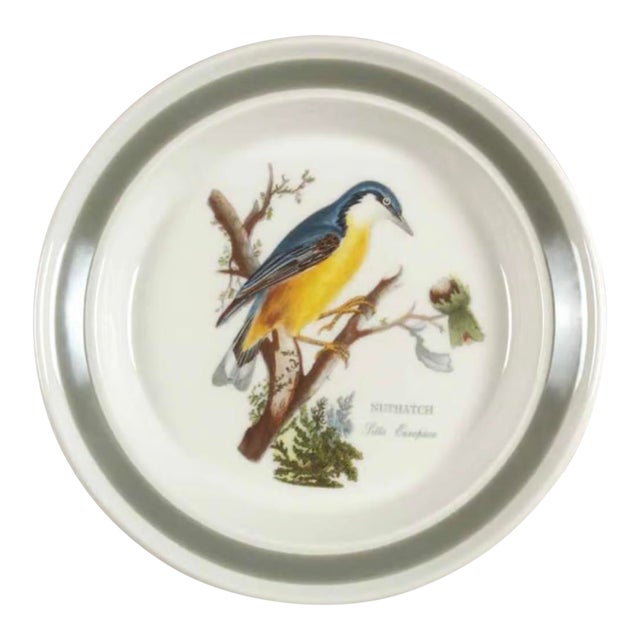 Vintage Portmeirion Birds of Britain Nuthatch Bread & Butter Plate – Green Band For Sale
