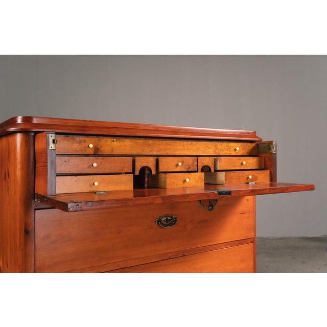 Metal Biedermeier Style Chest of Drawers with Secretary, Early 19th Century For Sale - Image 7 of 18