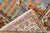 Early 20th Century Turkish Pictorial Rug - 3'3" x 4'2" For Sale - Image 10 of 18