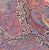 Ralph Lauren Home Vintage Ralph Lauren Paisley Ruffled Euro Shams-Set of 3 For Sale - Image 4 of 10