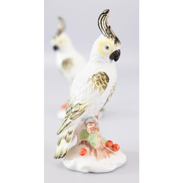 Paint Vintage Italian Majolica White Cockatoos Parrots Birds - A Pair For Sale - Image 7 of 13