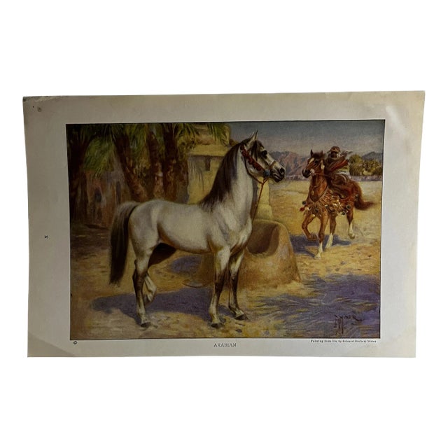 1926 Arabian Horse Print For Sale