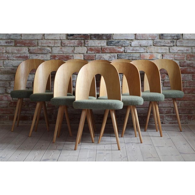 Mid-Century Dining Chairs by A. Suman, Set of 10 For Sale - Image 11 of 17
