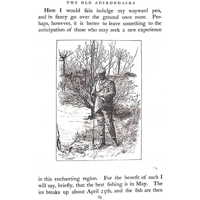 White "The Speckled Brook Trout" 1902 Rhead, Louis For Sale - Image 8 of 12