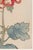 Not Yet Made - Made To Order Red Chrysanthemum by Hasegawa, Vintage Japanese Botanical Art Print, 40" X 60" For Sale - Image 5 of 10