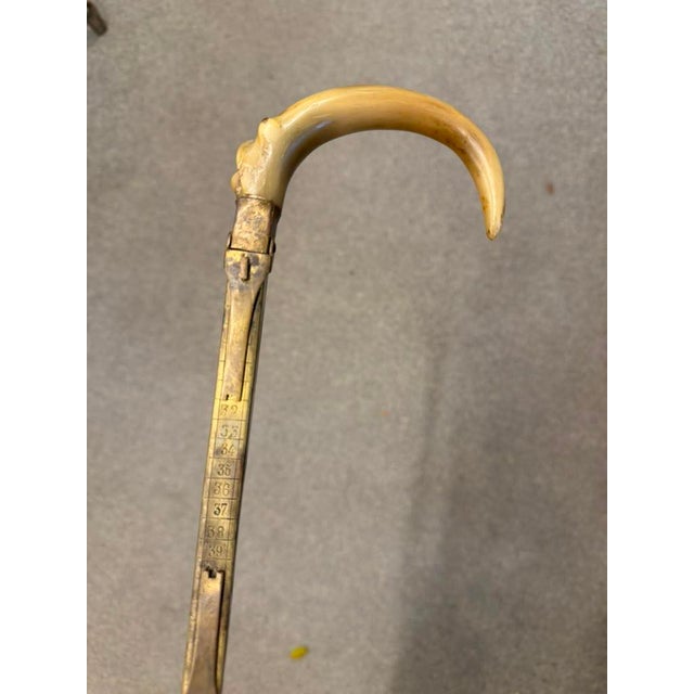 Rare Spanish Shoe Cobbler's Cane With Measuring Shaft, Circa 1860 For Sale - Image 9 of 11