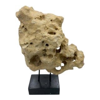 Indonesian Coral Stone On Teak Stand For Sale