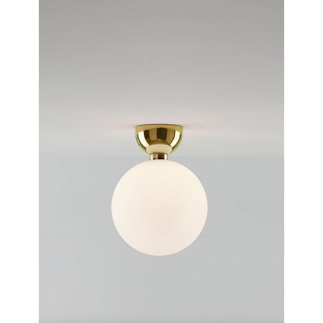 Aballs a Ii Gr Golden Wall Lamp by Jaime Hayson for Parachilna For Sale - Image 4 of 10