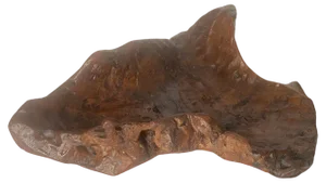 Brutalist Root Wood Vide Poche or Bowl, France, 1960s