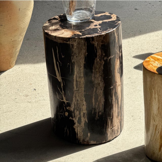 Stone Side Table in Black Petrified Wood with Beige Striations and a Circular Arc For Sale - Image 7 of 18