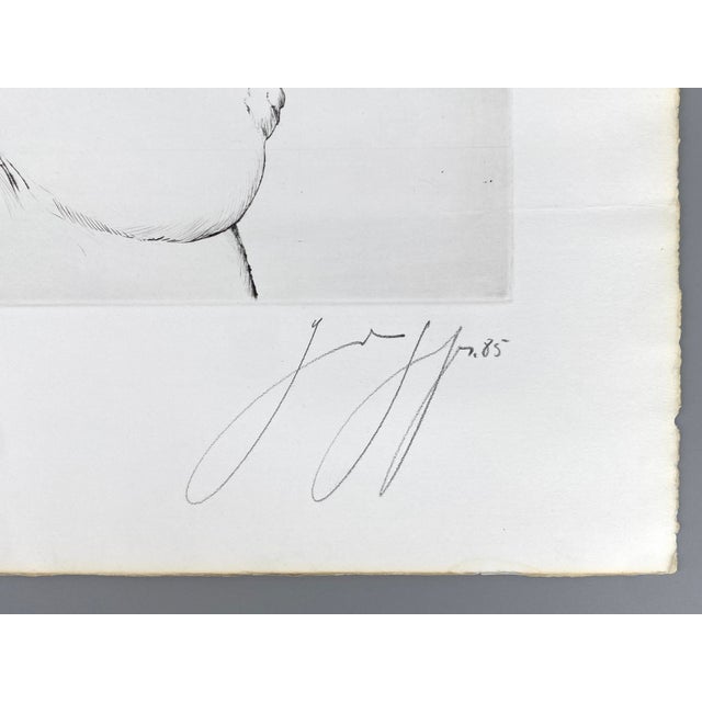 Günter Grass, The Other Damroka, 1985, Signed and Numbered Etching For Sale - Image 6 of 16