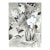 Black and White Lilies by Jean Hannon For Sale