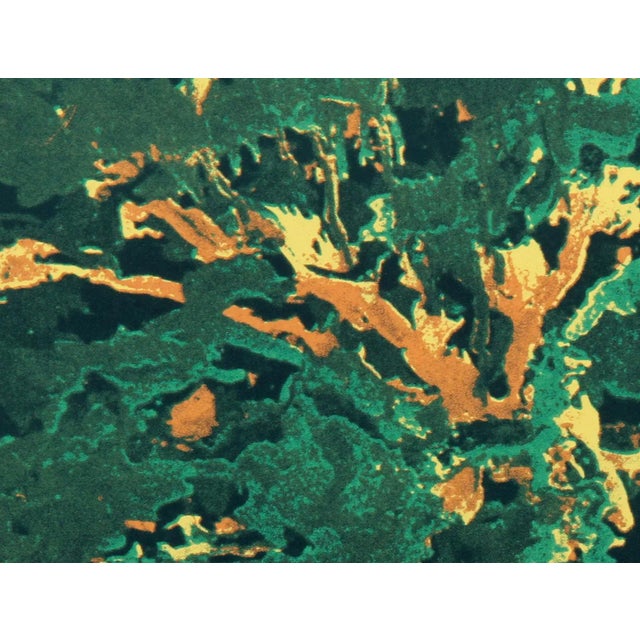 Artist: Domenick Turturro, Italian/American (1936 - 2002) Title: Wind White Leaves Year: circa 1980 Medium: Serigraph,...