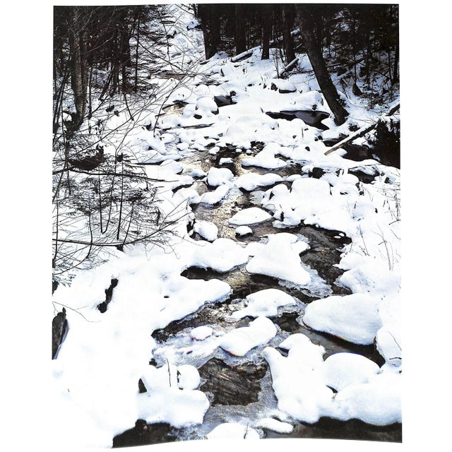 "Forever Wild: The Adirondacks" 1966 Porter, Eliot For Sale In New York - Image 6 of 12