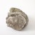 Cast Stone Elephant Garden Statue, France Mid 20th C. For Sale - Image 11 of 12
