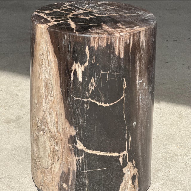 Side Table in Black Petrified Wood with Beige Fine Mesh Pattern For Sale - Image 12 of 18