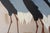 Wood Vintage Mid Century Japanese Cranes Painting Signed Campos For Sale - Image 7 of 14