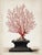 This refined fine art print reproduces a 19th-century original natural history illustration of a red sea gorgonian coral,...