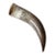 Vintage Polished Horn For Sale