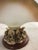 Vintage Frosted Glass Capodimonte Bowl For Sale - Image 4 of 8