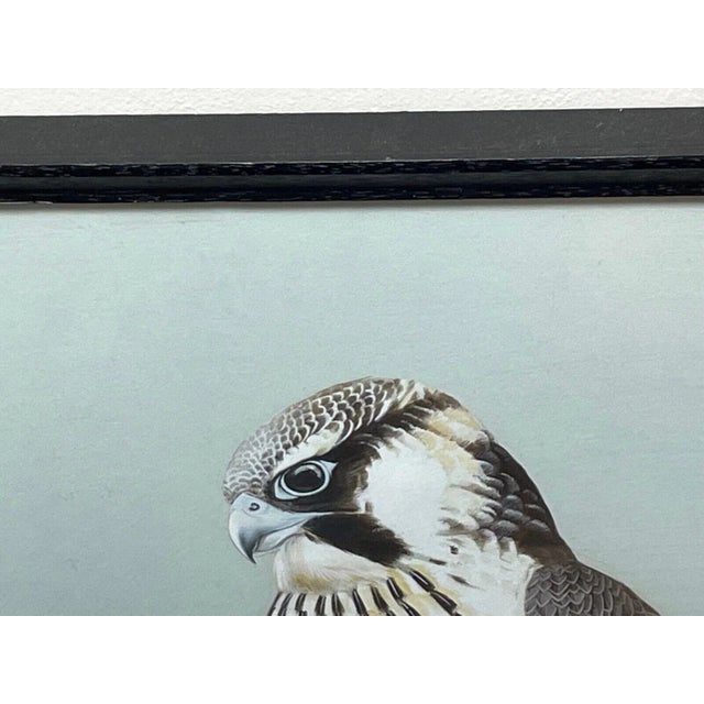 Vintage Original British Gouache Watercolor Peregrine Falcon by David Johnston For Sale - Image 9 of 12