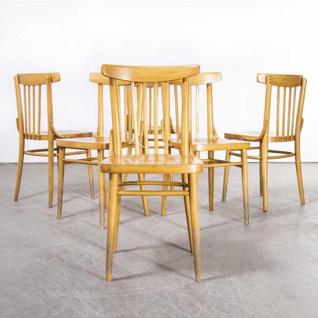Bentwood Dining Chairs from TON, 1960s, Set of 4 For Sale - Image 11 of 14