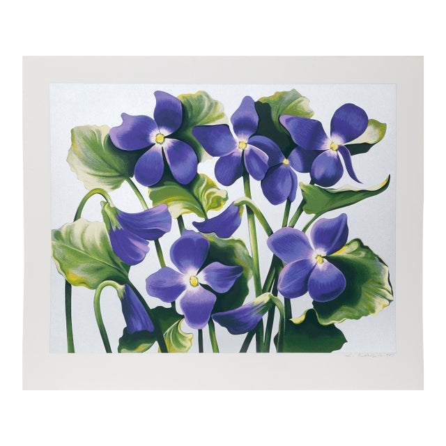 Viola Adorata, 1981 Signed Screenprint by Lowell Blair Nesbitt For Sale