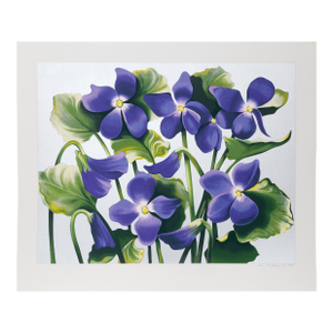 Viola Adorata, 1981 Signed Screenprint by Lowell Blair Nesbitt