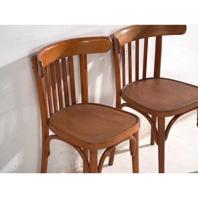 Bentwood Chairs in the style of Thonet, Central Europe, 1930, Set of 4 For Sale - Image 10 of 12
