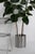 Large Loto Planter in Stainless Steel by Form & Eisen For Sale - Image 17 of 18