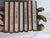 Vintage Twayne's Authors Series – Set of 7 Burgundy, Brown, Rust, Blue & Green Books For Sale - Image 13 of 13