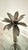 Godinger Pair of Vintage Godinger Silver Co Art Palm Tree Two Tier Glass Serving Stands For Sale - Image 4 of 6