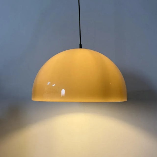 Brown Mushroom Pendant, 1970s For Sale - Image 15 of 18