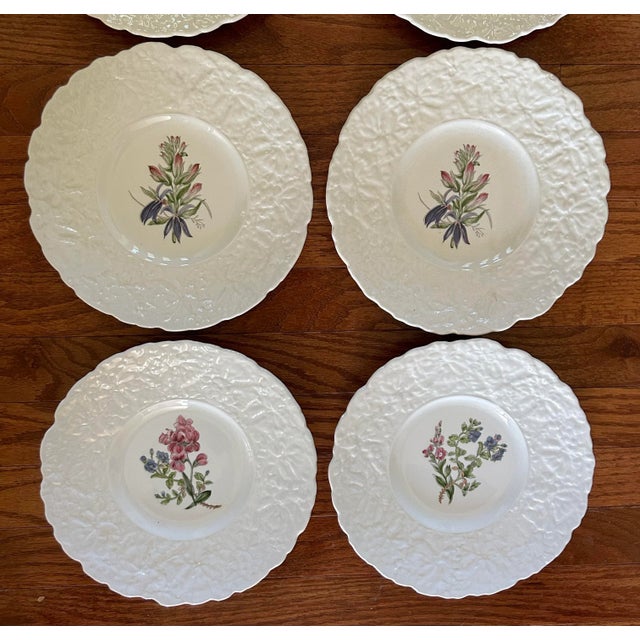 1940s Royal Cauldron Bristol Ironstone “Cardinal Flower” 9.5” Appetizer Plates ~ Set of 8 ~ England For Sale In Philadelphia - Image 6 of 13