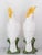 Vintage Ceramic Italian Cockatoo Pair For Sale - Image 4 of 6