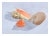 Realism Seashell Still Life by Barbara Gibson For Sale - Image 3 of 5
