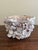 Late 20th Century Coastal Sea Shell Planter or Cachepot For Sale - Image 5 of 7