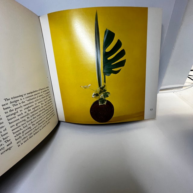 1970 Poetry of Leaves Book For Sale - Image 10 of 12