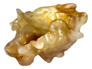 Golden Carnelian Agate Brush Washer Hand Carved