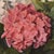 Henri-Émile Rogerol, Flowers Vase, 1900s, Oil Painting on Canvas, Framed For Sale - Image 8 of 11