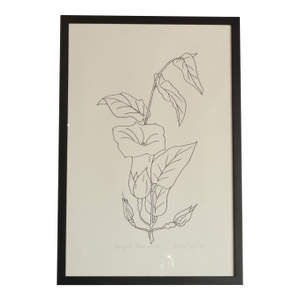 Betsy Tryon Framed Botanical, DTD 1978 (Sold Individually)