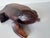 Mid-Century Modern Vintage Hand-Carved Wooden Frog Box For Sale - Image 3 of 12