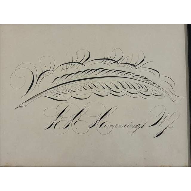 Wood 19th Century American Spencerian Calligraphy Penmanship Feather Flourish, Framed For Sale - Image 7 of 10