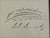 Wood 19th Century American Spencerian Calligraphy Penmanship Feather Flourish, Framed For Sale - Image 7 of 10