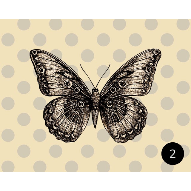 Modern butterfly print on canvas 24 x 30 in a black floating frame. Includes hanging hardware. Graphic made by us. Color-...