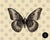 Modern butterfly print on canvas 24 x 30 in a black floating frame. Includes hanging hardware. Graphic made by us. Color-...