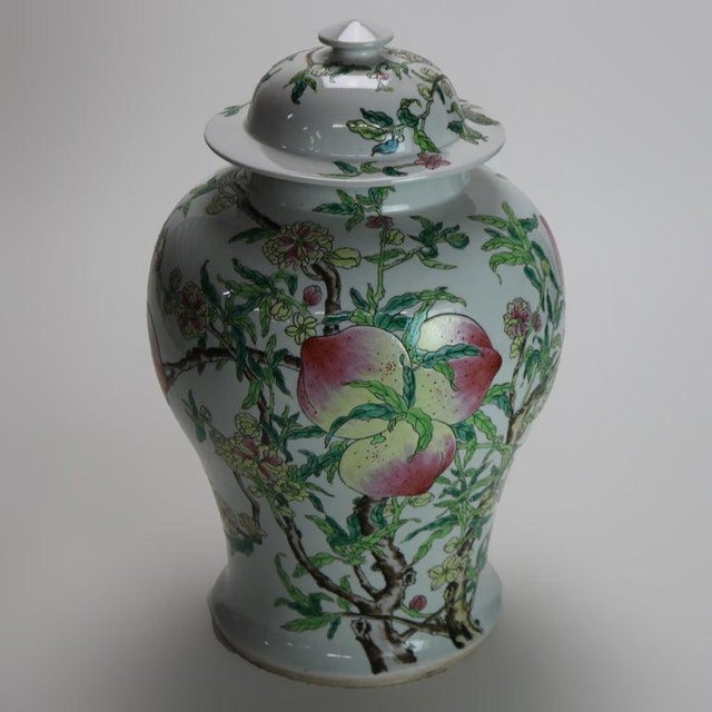 Early 20th Century Chinese Republic Period Porcelain Covered Longevity Ginger Jar With Fruit, Early 20th Century For Sale - Image 5 of 7