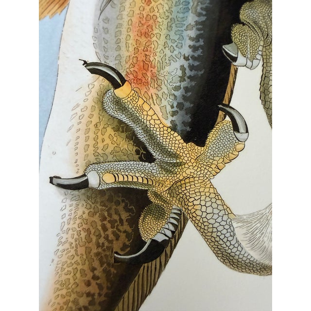 Striking 20” x 30” giclée print featuring John James Audubon’s iconic Fish Hawk, or Osprey. Richly colored and beautifully...