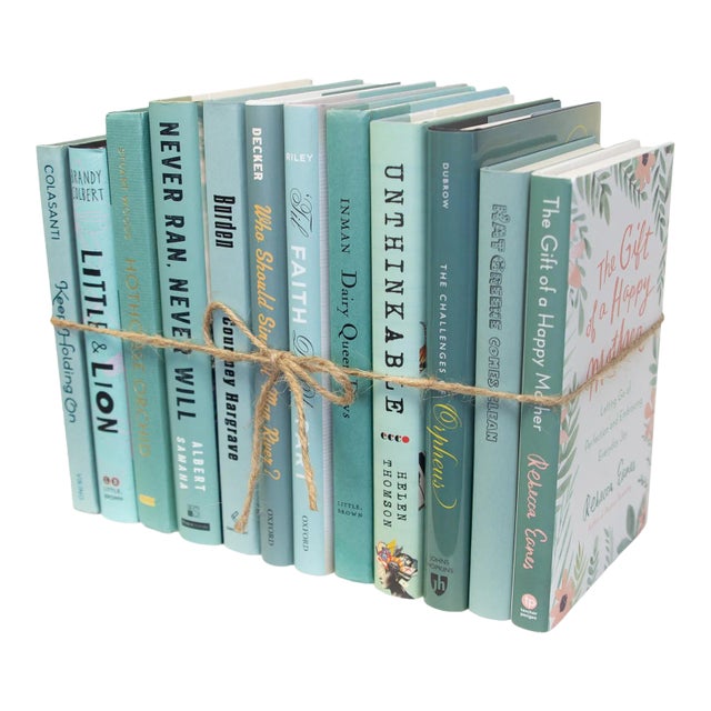 Decorative Books - Aquamarine Mixed Media Book Bundle - Blue and Tan Books For Sale